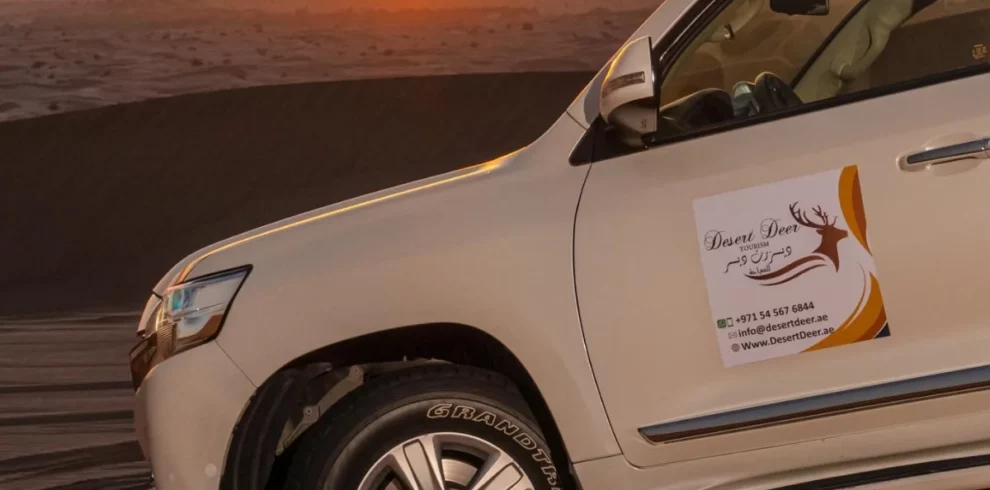 Evening Desert Safari
