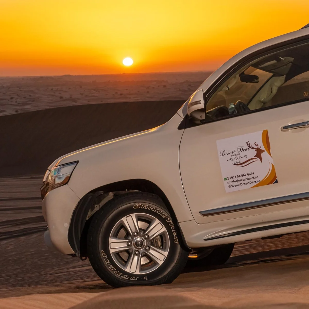 Evening Desert Safari